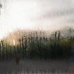 Condensation on the outside of double glazed window glass at sunrise