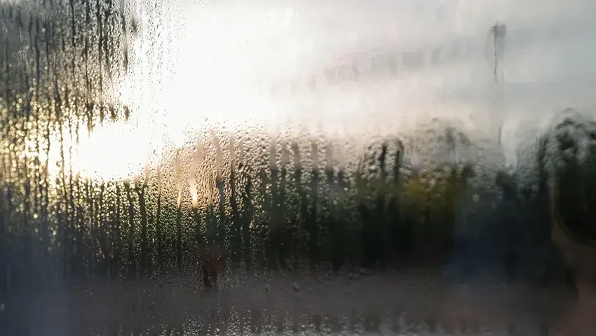 Condensation on the outside of double glazed window glass at sunrise
