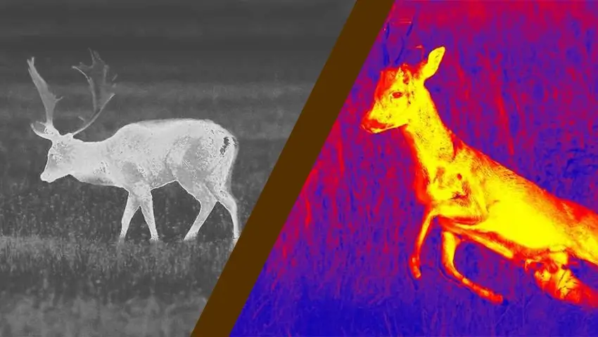 Infrared vs. Thermal Cameras: Key Differences Explained