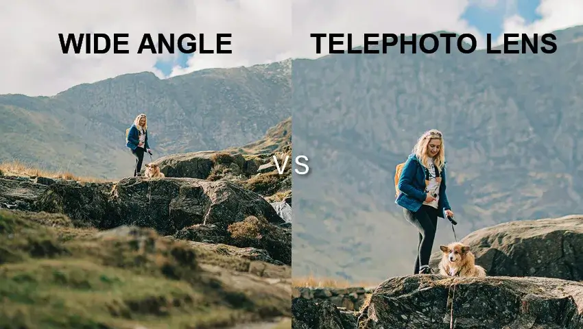 Wide Angle vs Telephoto Lens: Which Lens Should You Choose?